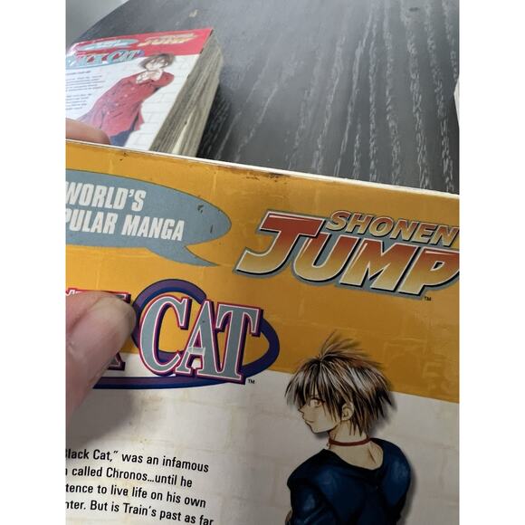 Black Cat Manga Volumes 1-13 English by Kentaro Yabuki - Paperback 1st Eds - Picture 13 of 16